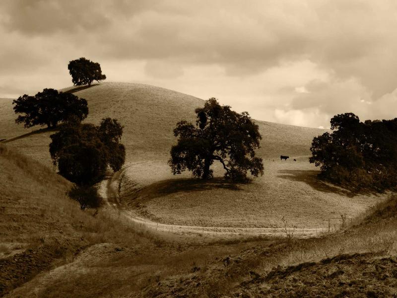 windows screenshot 4