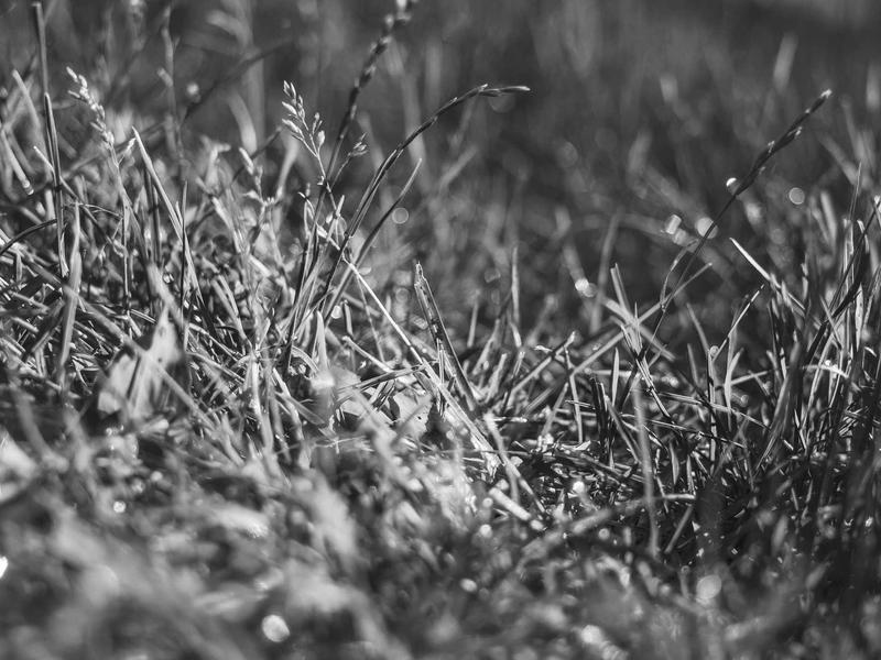 sudoku strategy guide screenshot 6